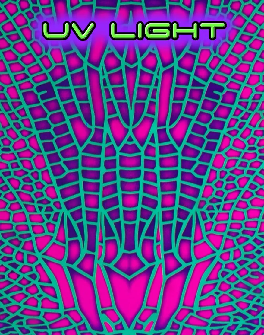 Slinky Dress  : Acid Dragonfly